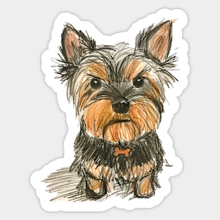 Cute Funny Angry Yorkshire Terrier Portrait Sticker